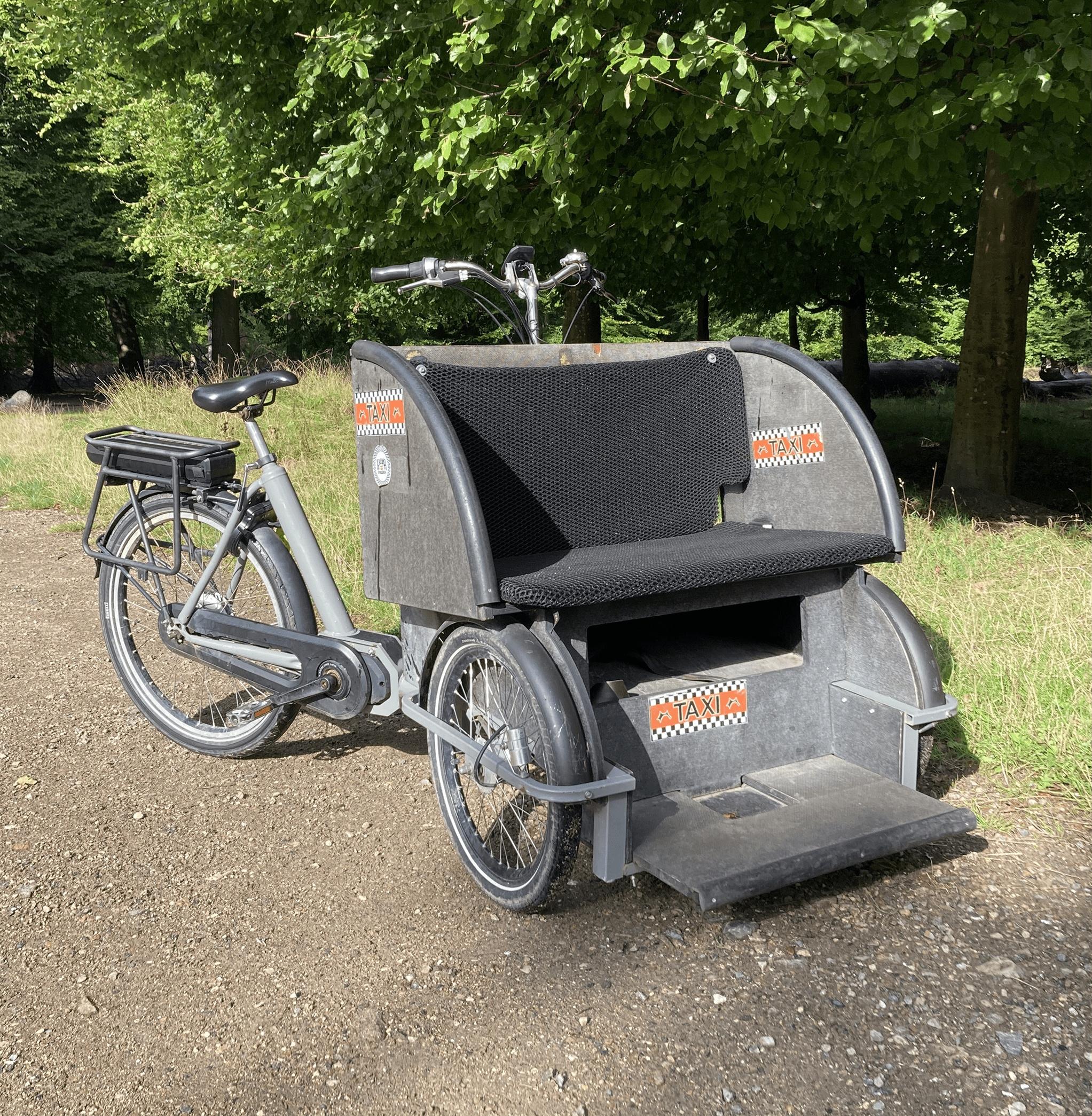 Taxi Cargo bike (rickshaw bike)