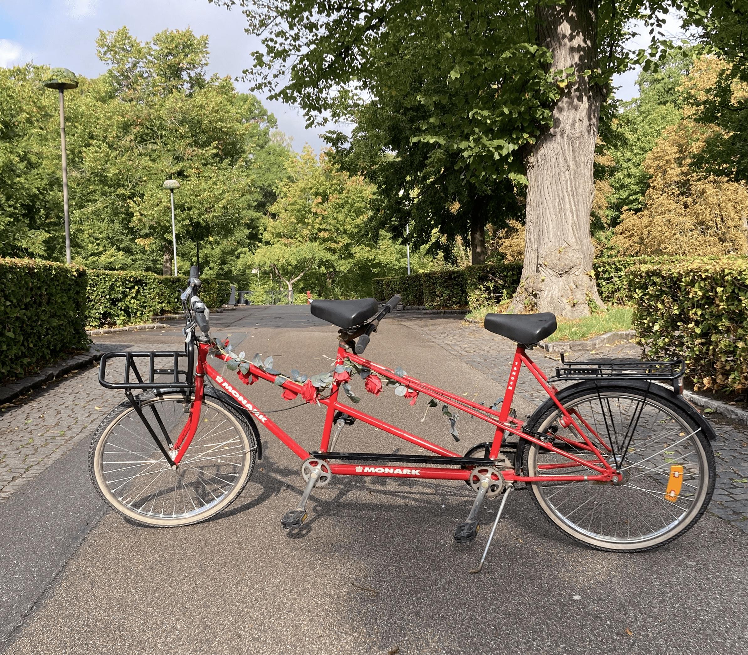 Tandem Bike Rental